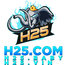 H25 logo